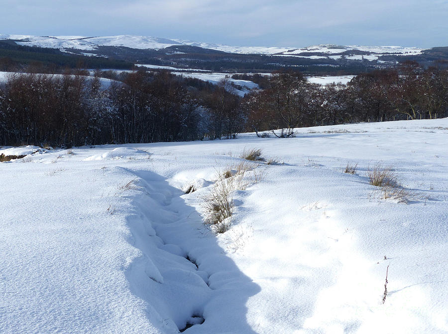Snow scene near Grantown on Spey #1 Photograph by Phil Banks