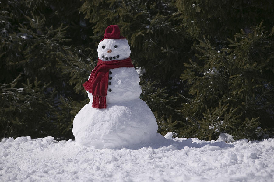 Snowman #1 Photograph by Comstock Images