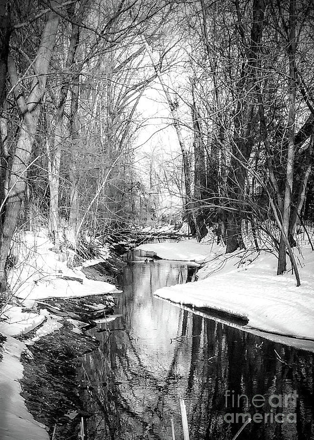 Snowy Creek Photograph by Mark Triplett