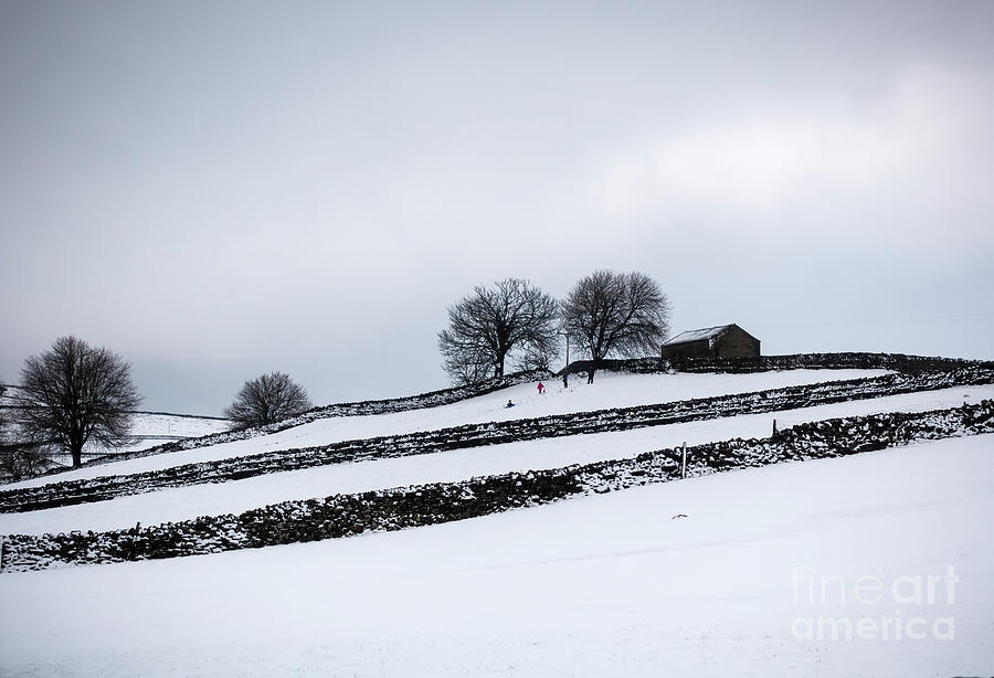 Snowy day in Wensleydale, Yorkshire Dales #1 Photograph by Louise Heusinkveld