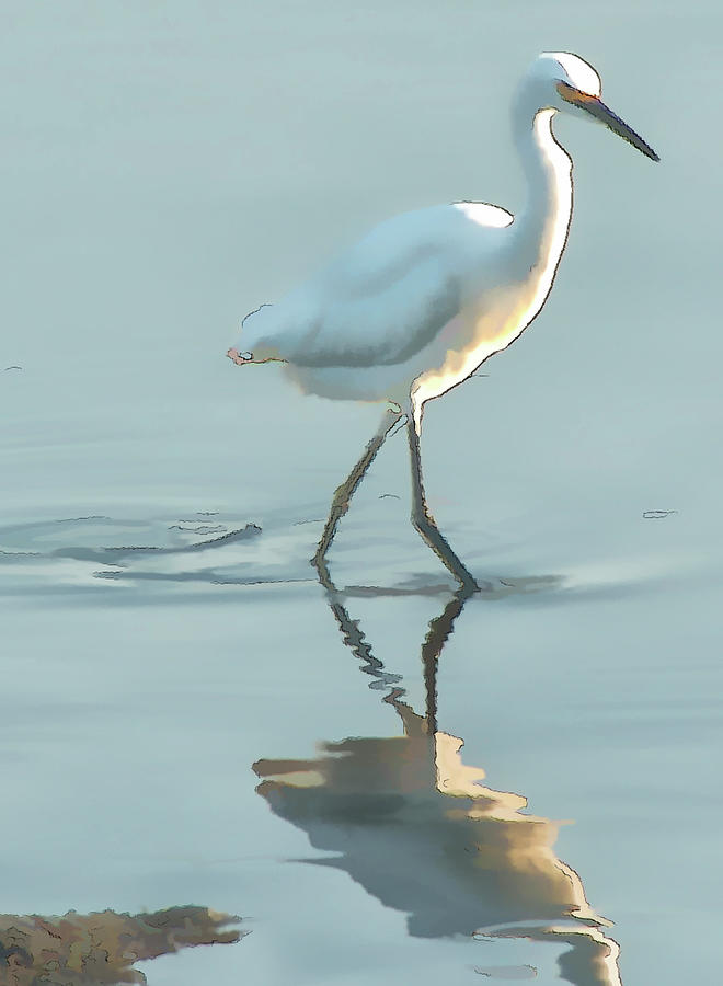 Snowy Egret #1 Photograph by Jessica Levant