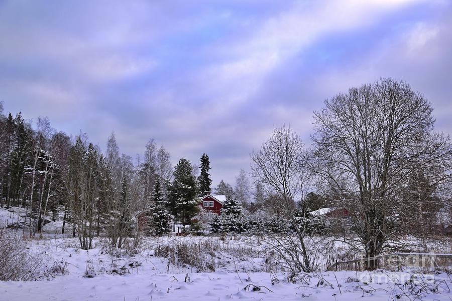 Snowy Landscape 2 Photograph