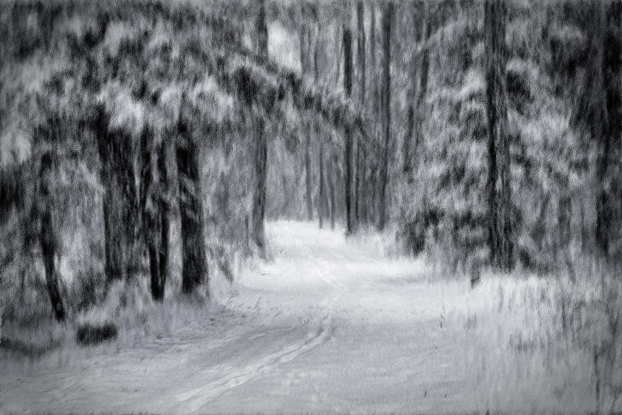 Snowy Path #1 Photograph by David Heilman