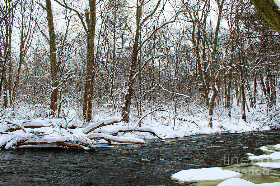 Snowy River Photograph by Todd Musser