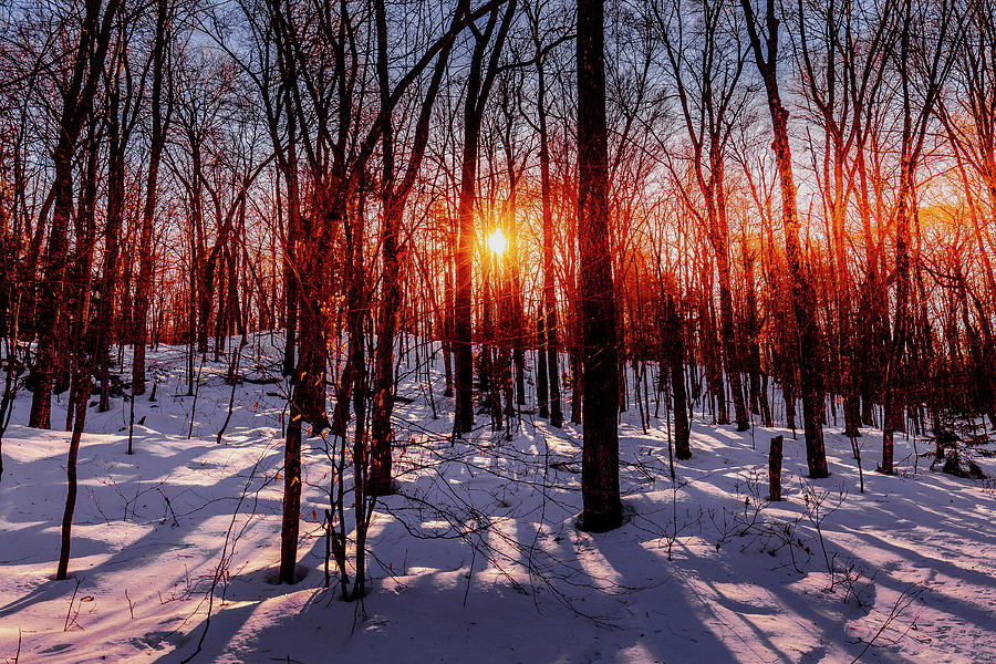 Snowy Sunset #1 Photograph by David Patterson