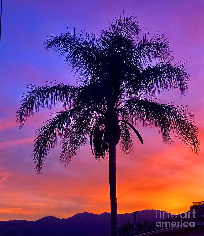 Socal Sunset Photograph