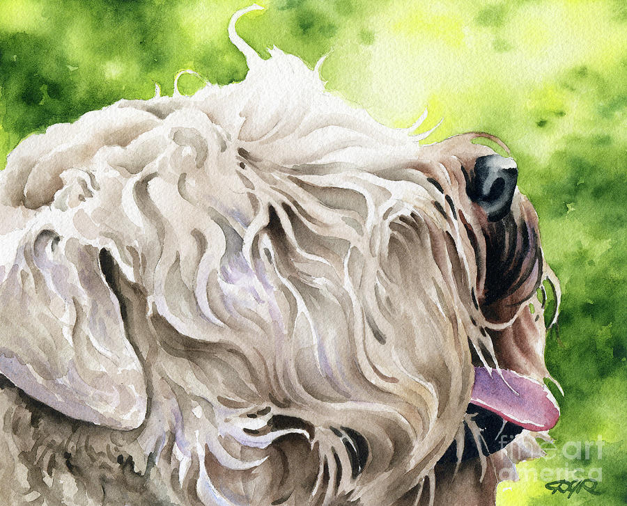 Dog Painting - Soft Coated Wheaten Terrier #1 by David Rogers