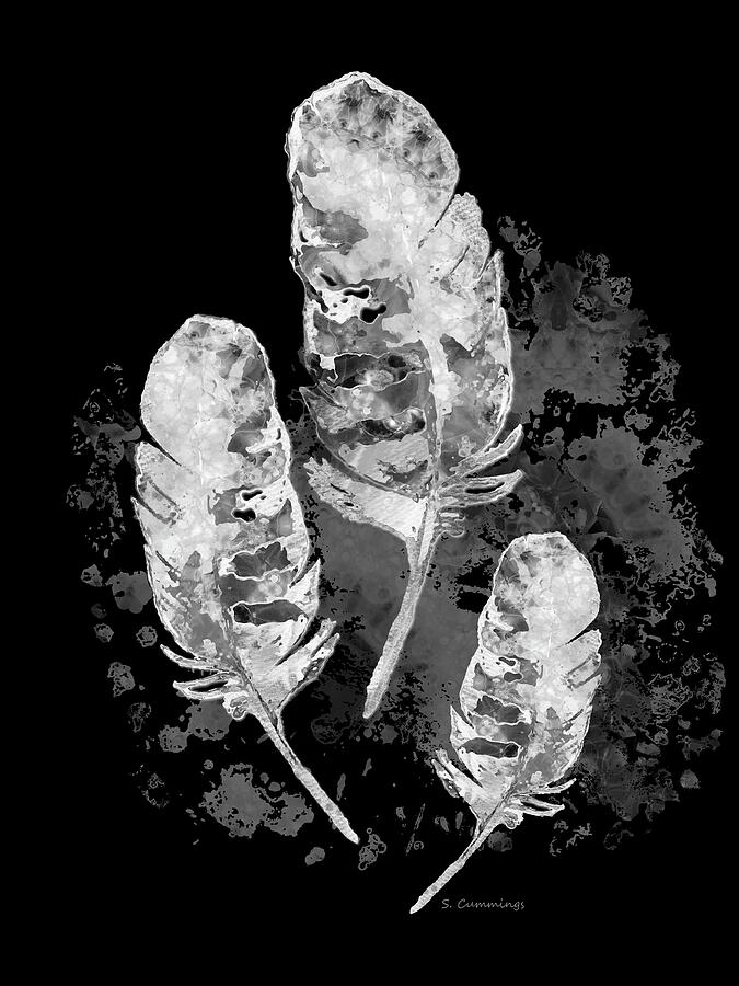 Soft Gray Feathers 2 Black And White Art Painting by Sharon Cummings Soft Gray Feathers 2 Black And White Art Painting by Sharon Cummings