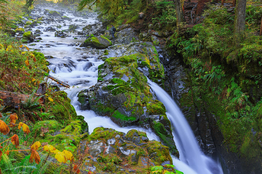 Sol Duc waterfall in Rain Forest #1 Photograph by Aiisha5