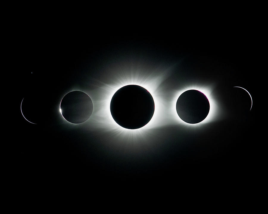 Shortened Solar Eclipse 8x10 Photograph by Carol Erikson