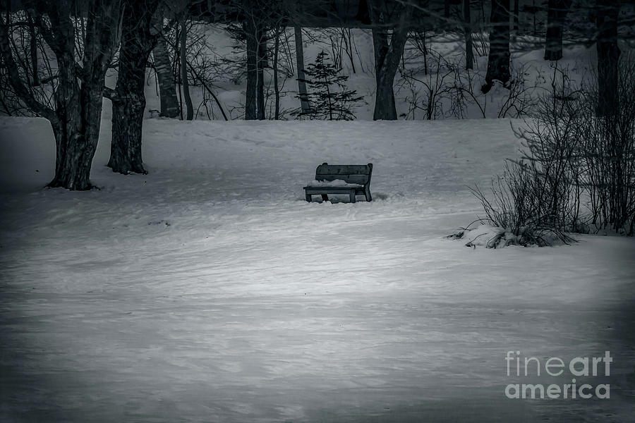 Solitude #1 Photograph by Elizabeth Dow