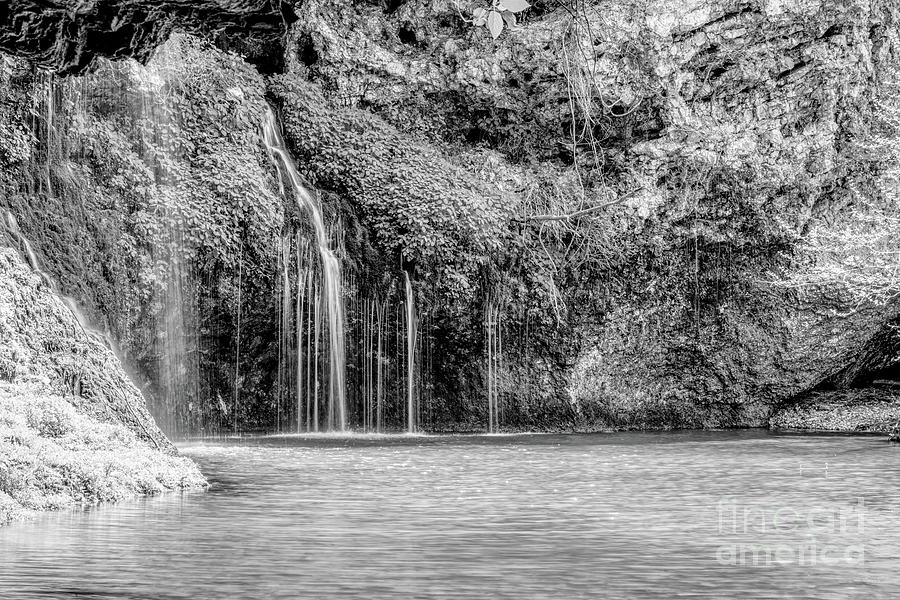 Soothing Waters At Dripping Springs Grayscale Photograph by Jennifer White