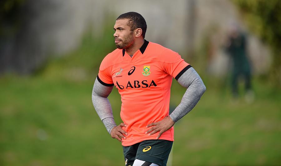 South Africa Squad Training #1 Photograph by Sportsfile