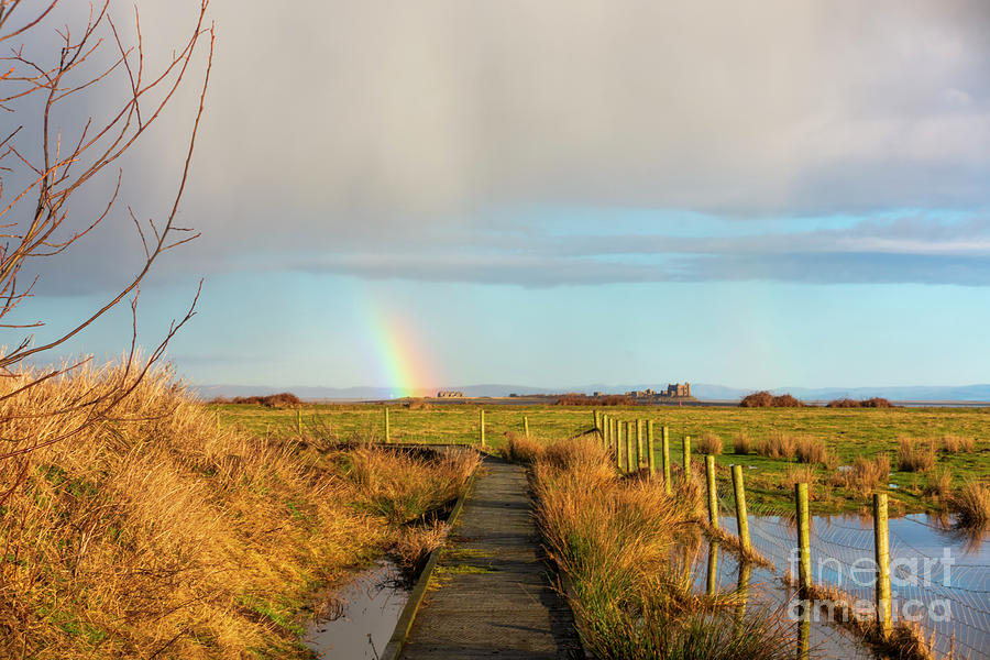 South Walney Nature Reserve in Cumbria #1 Photograph by Louise Heusinkveld