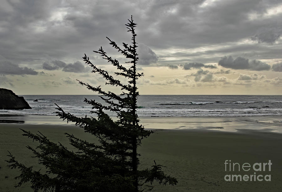 Southern Oregon Photograph By Michael Ziegler Fine Art America