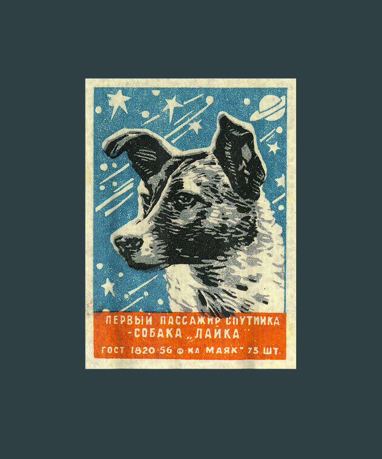 Soviet Space Dog Propaganda Poster Ussr Laika Cccp Drawing by Alicia ...