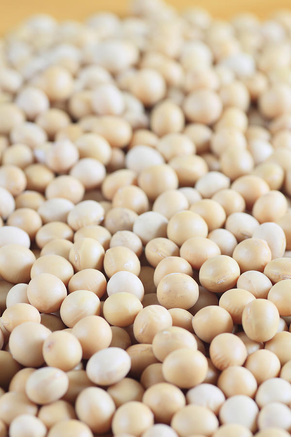 Soy Beans #1 Photograph by Yankane