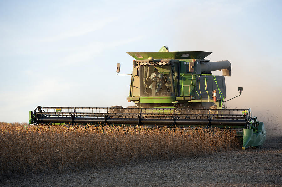 Soybean Harvest #1 Photograph by Edwin Remsberg