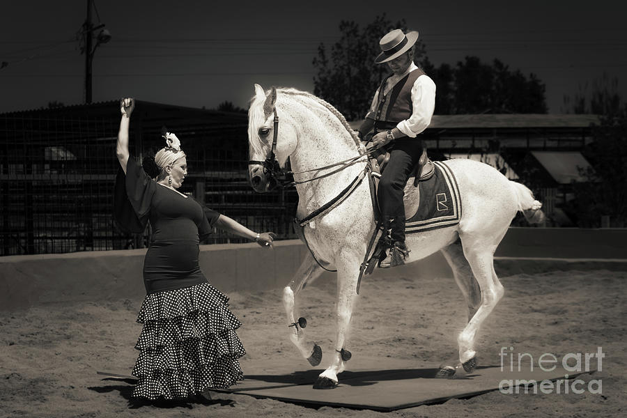 Spanish Flamenco dancing with horse and female dancer #1 Photograph by Peter Noyce