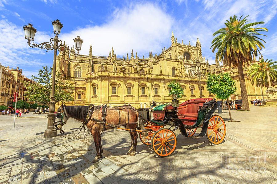 Spanish horse carriage Seville #1 Photograph by Benny Marty