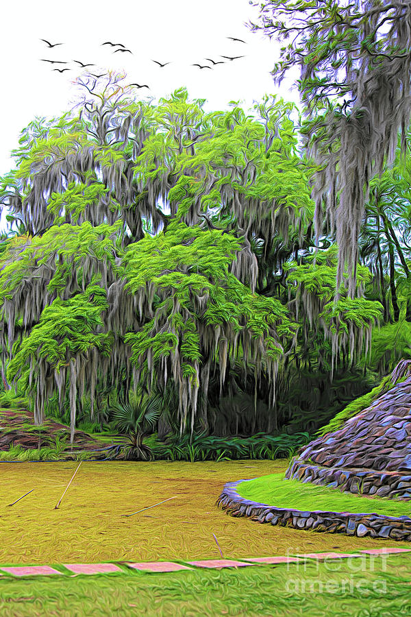 Spanish Moss trees Avery Island Louisiana Photograph by Chuck Kuhn