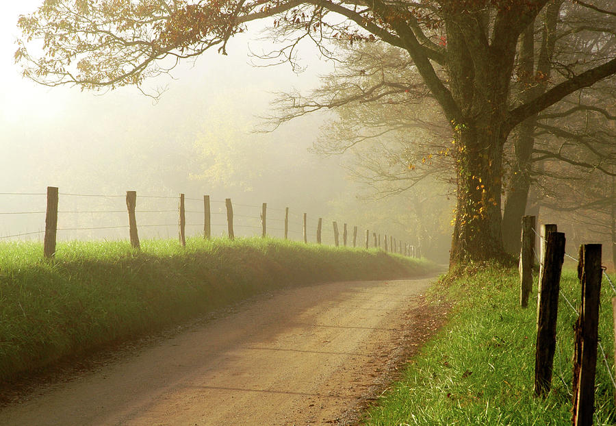 Sparks Lane, Cades Cove Photograph by Alice Scoggins | Fine Art America