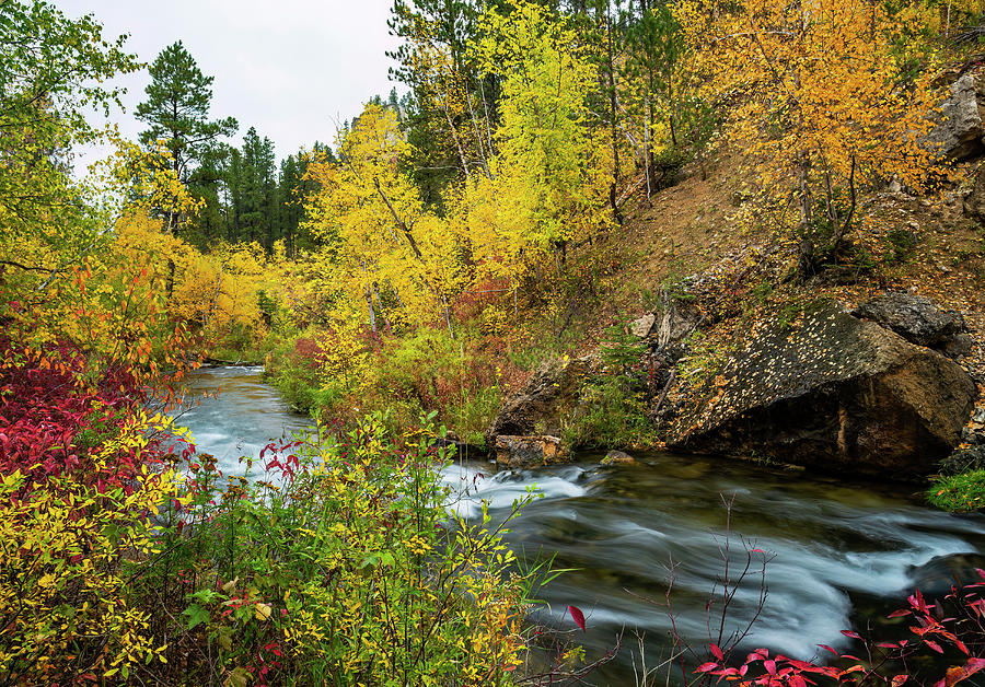 Spearfish Canyon Colors Photograph by Leith Sandness - Fine Art America