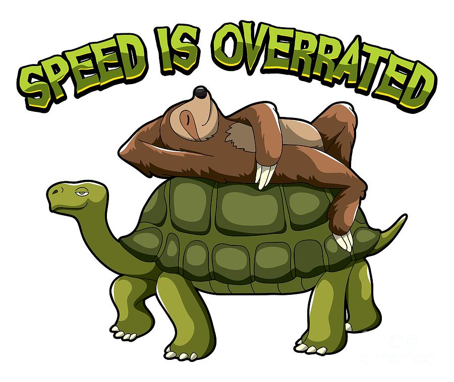 Speed Is Overrated Sloth Rides A Turtle Digital Art By Mister Tee Pixels