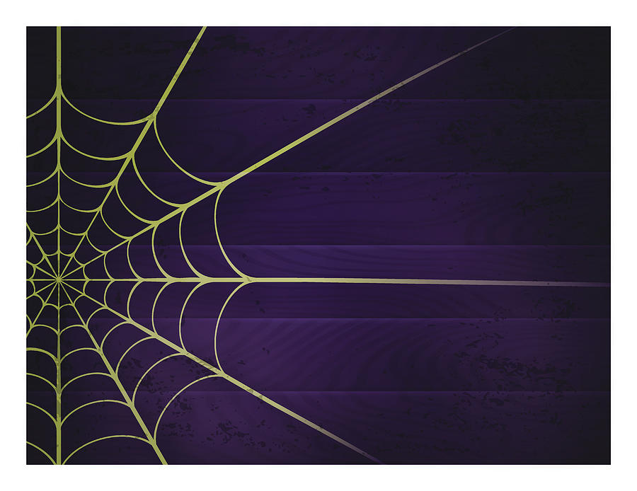 Spider Web Background #1 Drawing by Filo