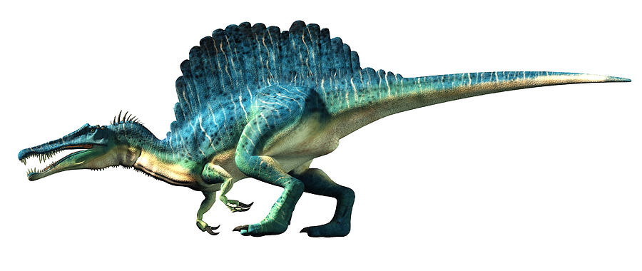 Spinosaurus #1 Digital Art by Daniel Eskridge