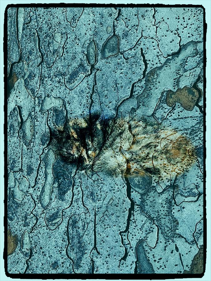 Splotchy Abstract  #1 Digital Art by Kathleen Boyles