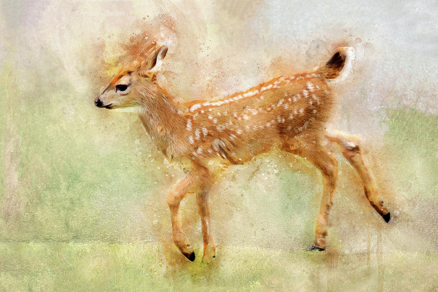 Spotted Fawn Mixed Media by Peggy Collins