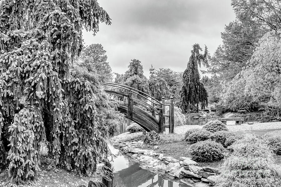 Spring At A Japanese Garden Grayscale Photograph by Jennifer White