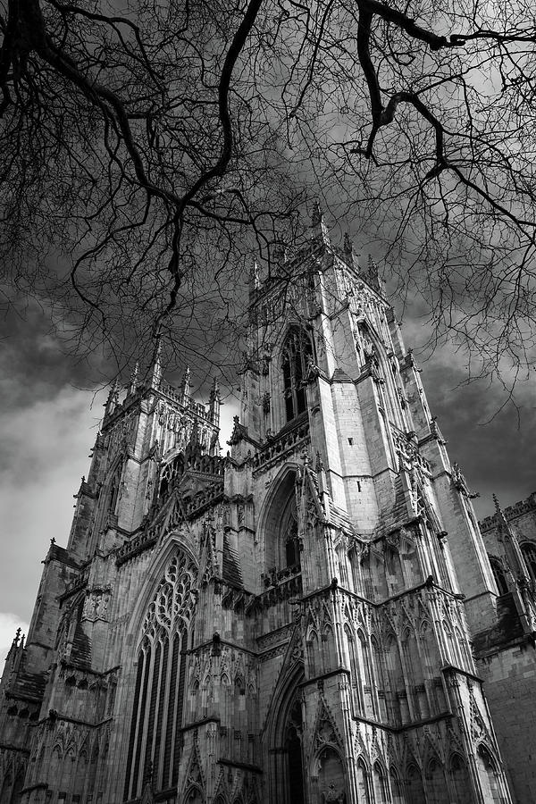 Spring at York Minster #1 Photograph by Seeables Visual Arts