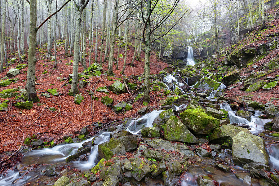 Spring beech forest with a waterfall #1 Photograph by Mikhail Kokhanchikov
