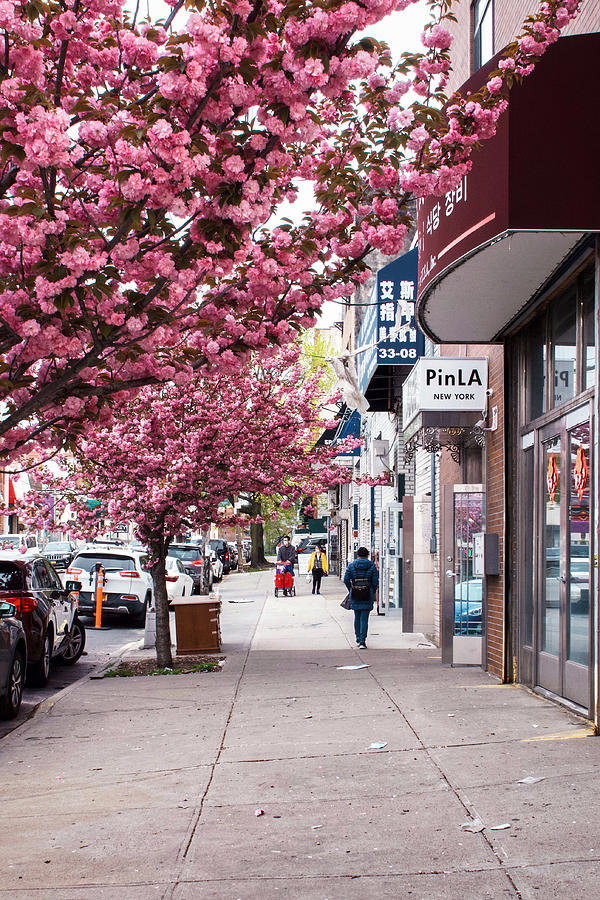 Spring Photograph - Spring in Queens #1 by Patrick Byrnes