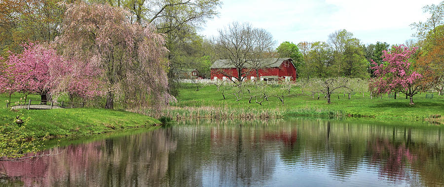Spring On the Farm #1 Photograph by Dave Mills