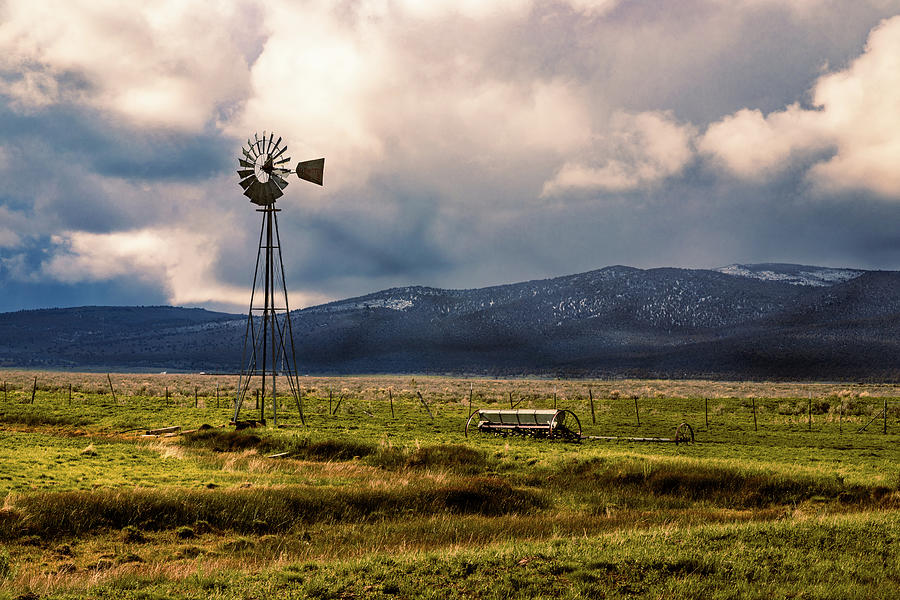 Spring Windmill Photograph