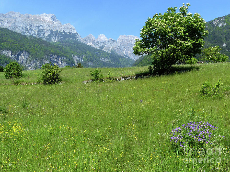 Springtime in the Dolomites #2 Photograph by Phil Banks