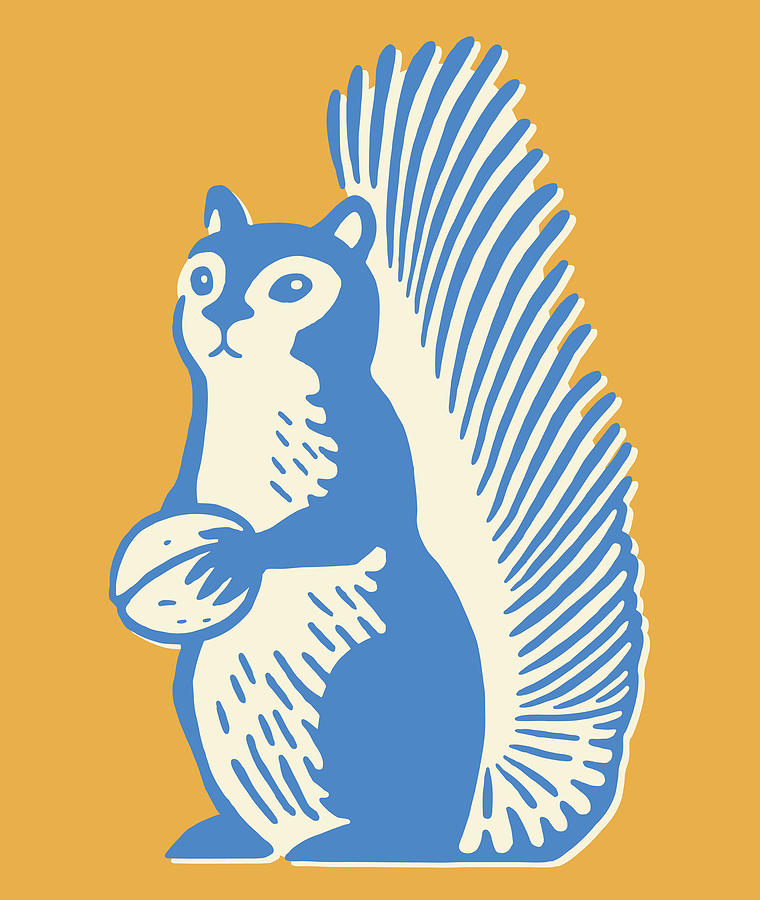 Squirrel Holding Nut #1 Drawing by CSA-Archive