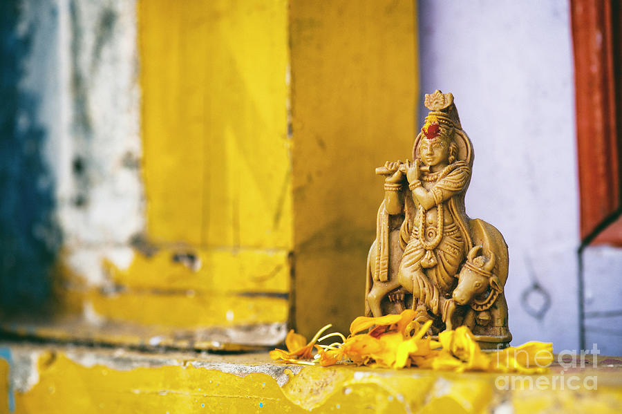 Sri Krishna Jai #1 Photograph by Tim Gainey