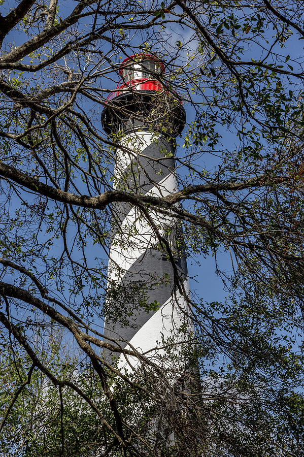 St. Augustine Lighthouse #1 Photograph by John A Megaw