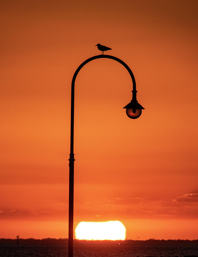 St Kilda Sunset #1 Photograph by Leigh Henningham