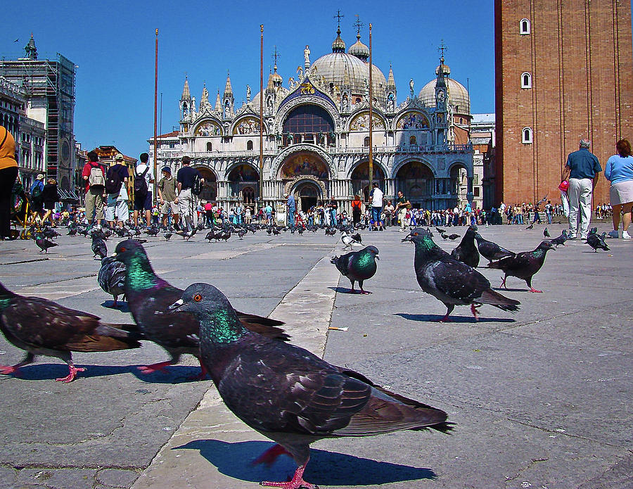 St. Marks Square - Venice, Italy Photograph by David Morehead