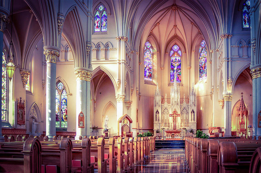 St. Peter's Cathedral Photograph by Michael Nesgoda - Fine Art America