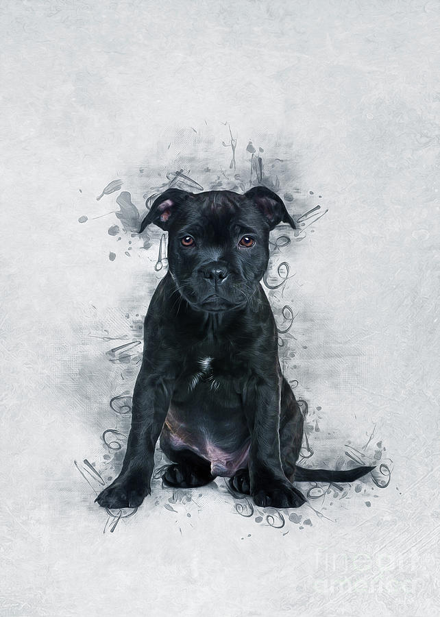 Staffordshire Bull Terrier Painting