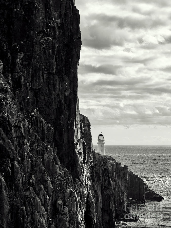 Standing Guard Photograph by David Cordner - Fine Art America