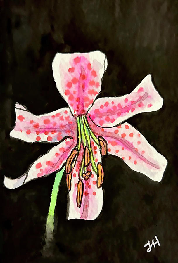 Stargazer Lily #1 Painting by Jean Haynes