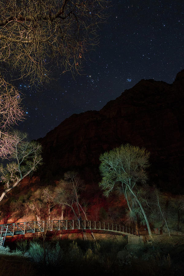 Starry night sky above Zion Canyon #1 Photograph by David L Moore