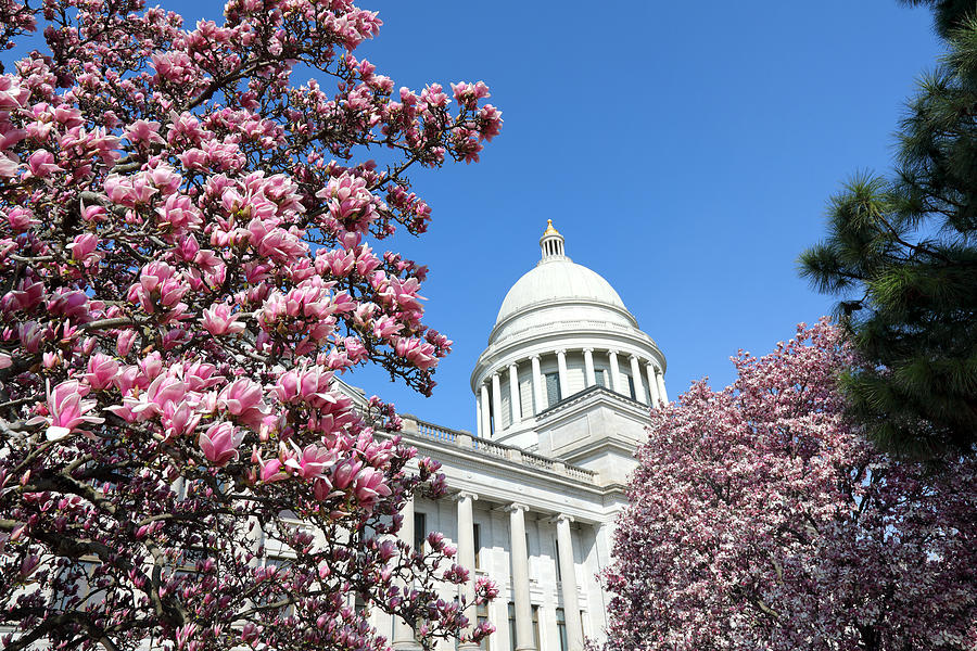 State Capitol of Arkansas in spring #1 Photograph by Rainer Grosskopf